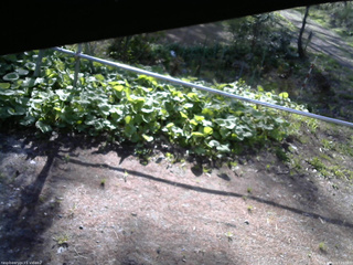 長野県菅平高原 ゆたか山荘 駐車場 2026/05/11 07:15