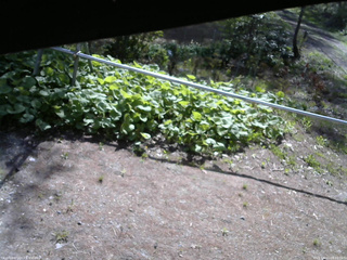 長野県菅平高原 ゆたか山荘 駐車場 2026/05/11 08:15