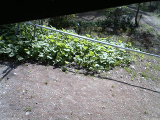長野県菅平高原 ゆたか山荘 駐車場 2026/05/11 08:30