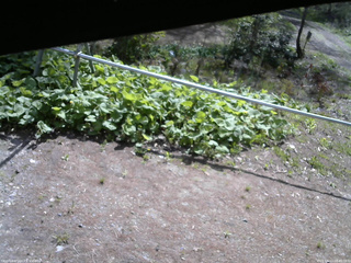長野県菅平高原 ゆたか山荘 駐車場 2026/05/11 08:45