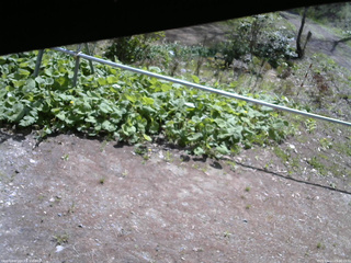 長野県菅平高原 ゆたか山荘 駐車場 2026/05/11 09:30