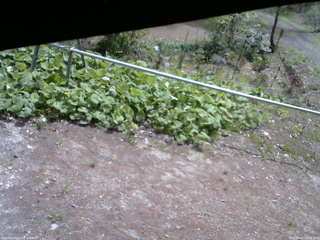 長野県菅平高原 ゆたか山荘 駐車場 2026/05/11 10:15