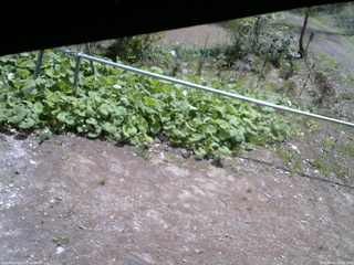 長野県菅平高原 ゆたか山荘 駐車場 2026/05/11 10:30