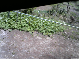 長野県菅平高原 ゆたか山荘 駐車場 2026/05/11 11:45