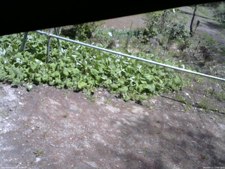 長野県菅平高原 ゆたか山荘 駐車場 2026/05/11 12:00