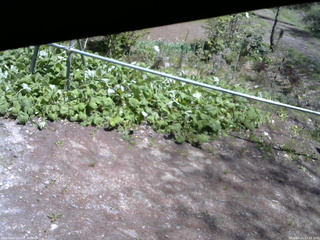 長野県菅平高原 ゆたか山荘 駐車場 2026/05/11 12:15