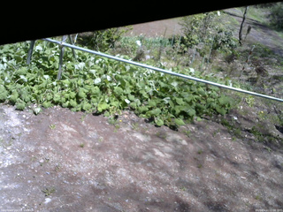 長野県菅平高原 ゆたか山荘 駐車場 2026/05/11 12:30