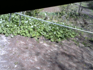 長野県菅平高原 ゆたか山荘 駐車場 2026/05/11 12:45