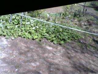 長野県菅平高原 ゆたか山荘 駐車場 2026/05/11 13:15