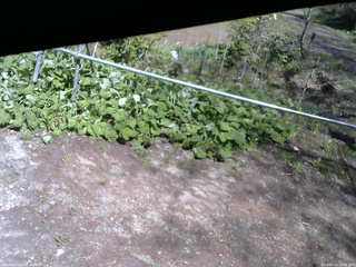 長野県菅平高原 ゆたか山荘 駐車場 2026/05/11 13:45