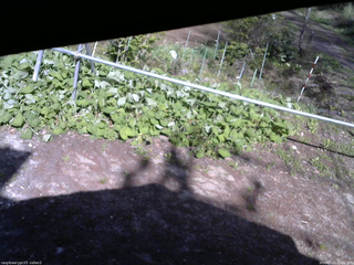 長野県菅平高原 ゆたか山荘 駐車場 2026/05/11 15:00