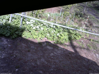 長野県菅平高原 ゆたか山荘 駐車場 2026/05/11 15:30
