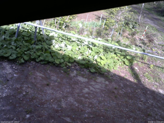 長野県菅平高原 ゆたか山荘 駐車場 2026/05/11 15:45