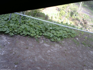 長野県菅平高原 ゆたか山荘 駐車場 2026/05/11 16:30