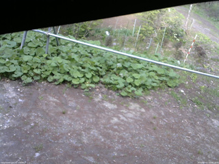 長野県菅平高原 ゆたか山荘 駐車場 2026/05/11 16:45