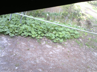長野県菅平高原 ゆたか山荘 駐車場 2026/05/11 17:00
