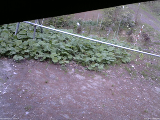 長野県菅平高原 ゆたか山荘 駐車場 2026/05/11 18:30