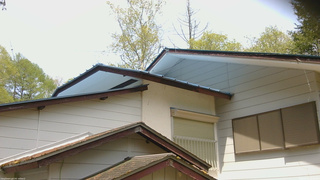 長野県菅平高原 ゆたか山荘 駐車場奥 2026/05/11 10:30