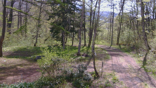 長野県菅平高原 ゆたか山荘 坂上 2026/05/11 08:45