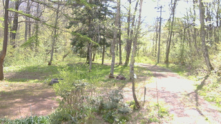 長野県菅平高原 ゆたか山荘 坂上 2026/05/11 09:00