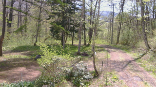 長野県菅平高原 ゆたか山荘 坂上 2026/05/11 09:30