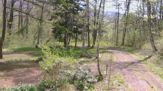 長野県菅平高原 ゆたか山荘 坂上 2026/05/11 09:45