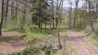 長野県菅平高原 ゆたか山荘 坂上 2026/05/11 10:00