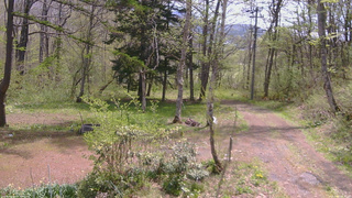 長野県菅平高原 ゆたか山荘 坂上 2026/05/11 10:30