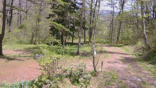長野県菅平高原 ゆたか山荘 坂上 2026/05/11 12:00