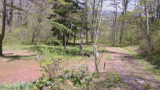 長野県菅平高原 ゆたか山荘 坂上 2026/05/11 12:30