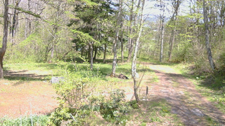 長野県菅平高原 ゆたか山荘 坂上 2026/05/11 13:00