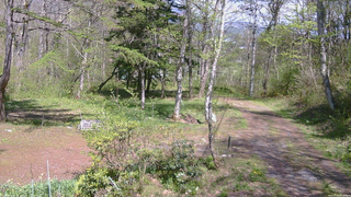 長野県菅平高原 ゆたか山荘 坂上 2026/05/11 13:30