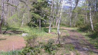 長野県菅平高原 ゆたか山荘 坂上 2026/05/11 14:00