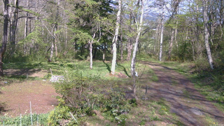 長野県菅平高原 ゆたか山荘 坂上 2026/05/11 15:15