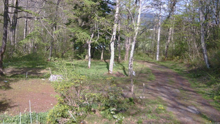 長野県菅平高原 ゆたか山荘 坂上 2026/05/11 15:30