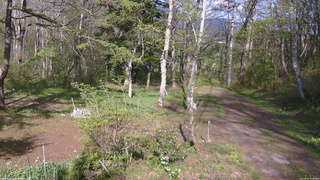 長野県菅平高原 ゆたか山荘 坂上 2026/05/11 16:00