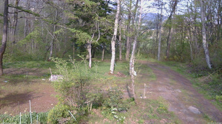長野県菅平高原 ゆたか山荘 坂上 2026/05/11 16:15