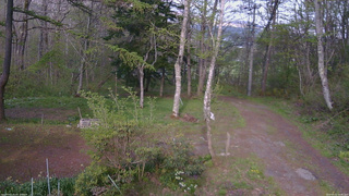 長野県菅平高原 ゆたか山荘 坂上 2026/05/11 16:45