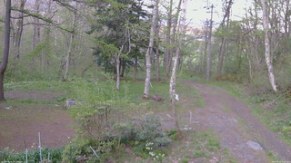 長野県菅平高原 ゆたか山荘 坂上 2026/05/11 18:15
