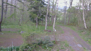 長野県菅平高原 ゆたか山荘 坂上 2026/05/11 18:30