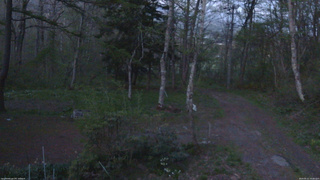 長野県菅平高原 ゆたか山荘 坂上 2026/05/11 19:00