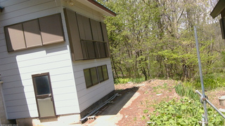 長野県菅平高原 ゆたか山荘 坂下 2026/05/11 12:00