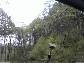 長野県菅平高原 ゆたか山荘 温度計 2026/05/12 08:15
