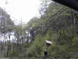 長野県菅平高原 ゆたか山荘 温度計 2026/05/12 08:45