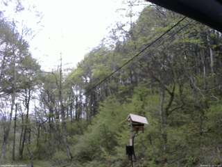 長野県菅平高原 ゆたか山荘 温度計 2026/05/12 11:15