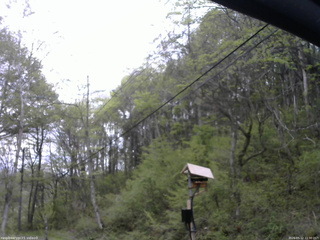 長野県菅平高原 ゆたか山荘 温度計 2026/05/12 11:30