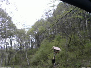 長野県菅平高原 ゆたか山荘 温度計 2026/05/12 11:45