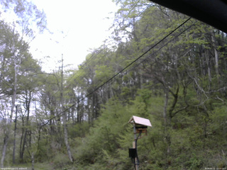 長野県菅平高原 ゆたか山荘 温度計 2026/05/12 13:15