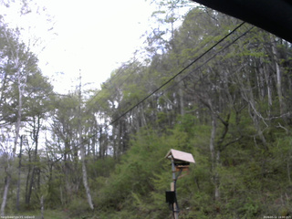 長野県菅平高原 ゆたか山荘 温度計 2026/05/12 14:00