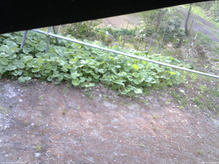 長野県菅平高原 ゆたか山荘 駐車場 2026/05/12 06:15